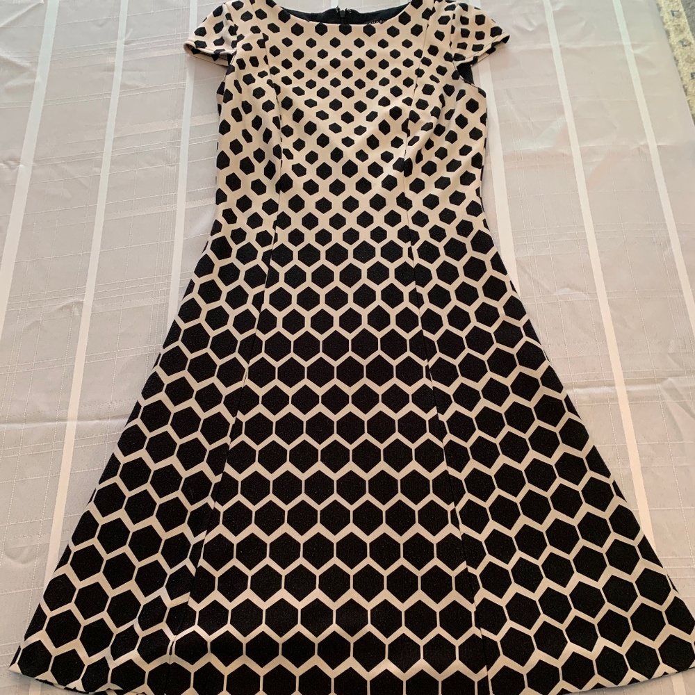 Navy Blue/Cream Tahari Geometric Dress